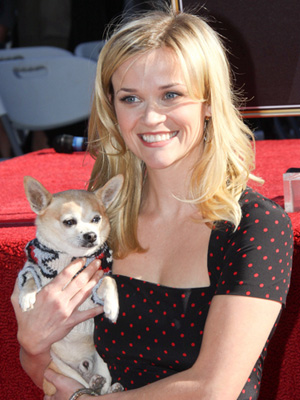 reese witherspoon's dog