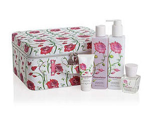 crabtree and evelyn rosewater vanity case